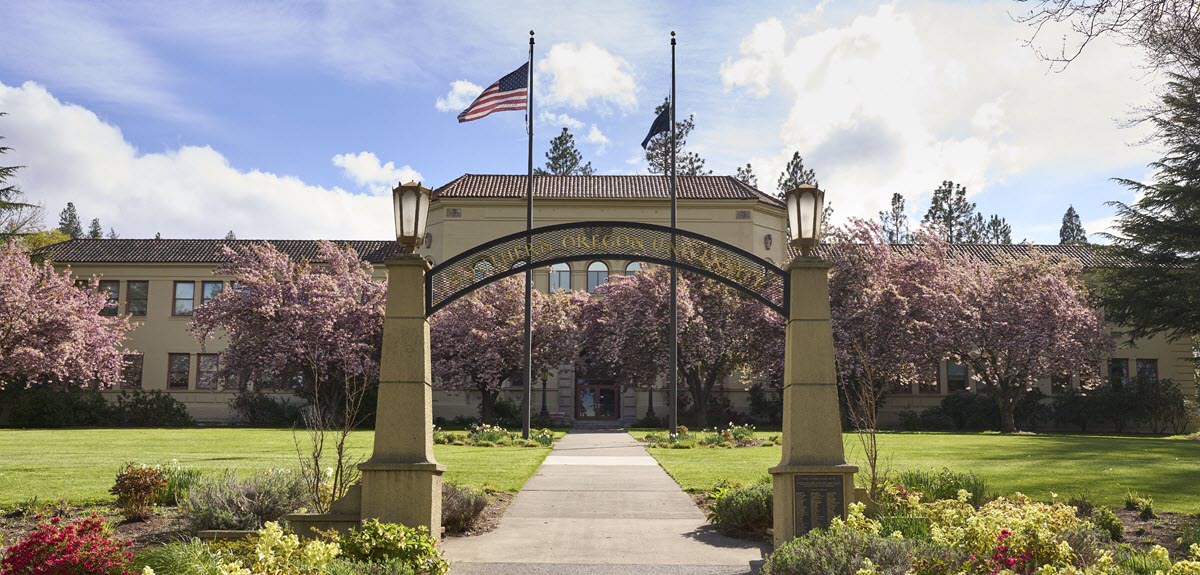 Gateway entrance to campus with flags flying